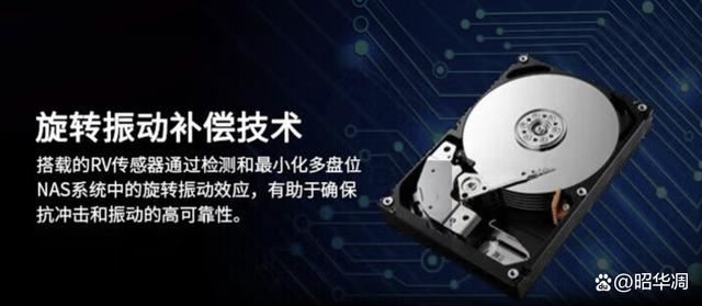 东芝N300测评