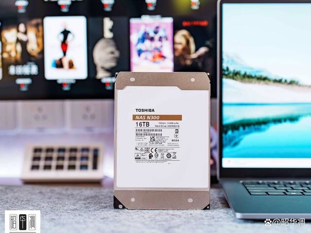 东芝N300测评