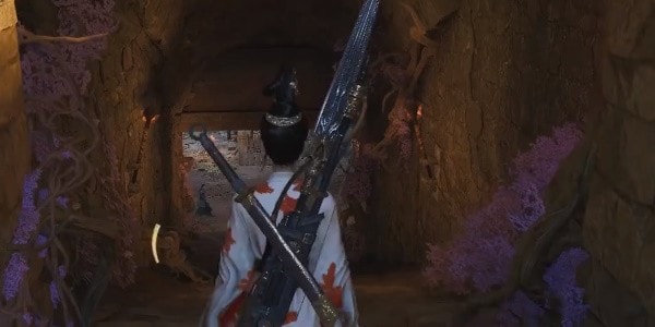 燕云十六声明川药典